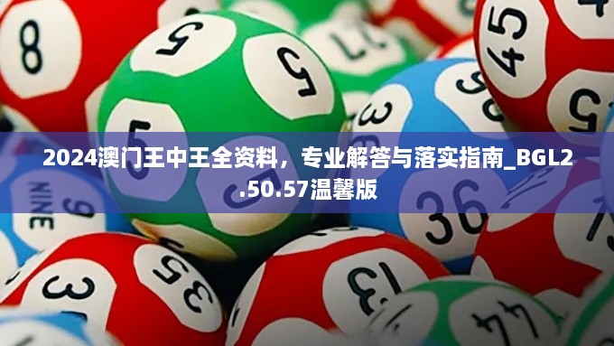 2024澳门王中王全资料，专业解答与落实指南_BGL2.50.57温馨版