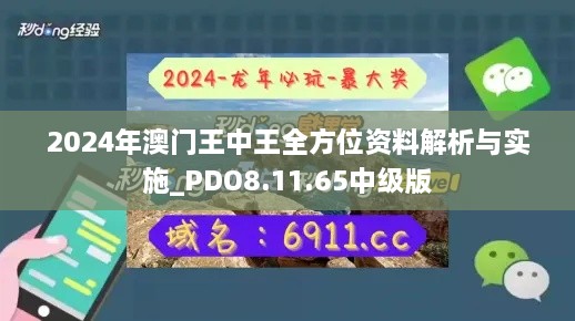 2024年澳门王中王全方位资料解析与实施_PDO8.11.65中级版