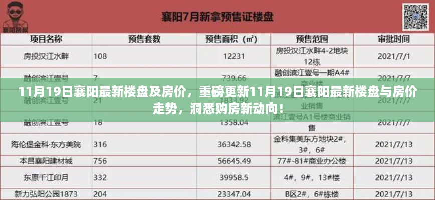 11月19日襄阳最新楼盘与房价走势揭秘，洞悉购房新动向