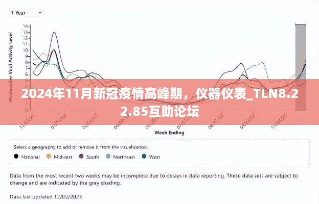 2024年11月新冠疫情高峰期，仪器仪表_TLN8.22.85互助论坛