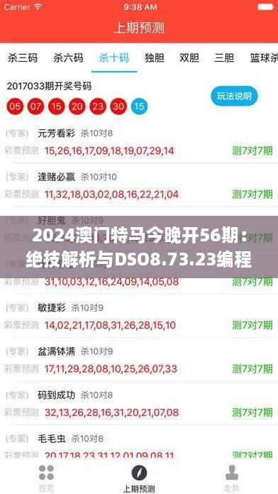 2024澳门特马今晚开56期：绝技解析与DSO8.73.23编程版解答