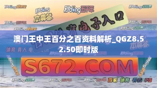 澳门王中王百分之百资料解析_QGZ8.52.50即时版