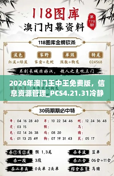 2024年澳门王中王免费版，信息资源管理_PCS4.21.31冷静版