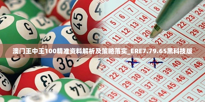 澳门王中王100精准资料解析及策略落实_ERE7.79.65黑科技版