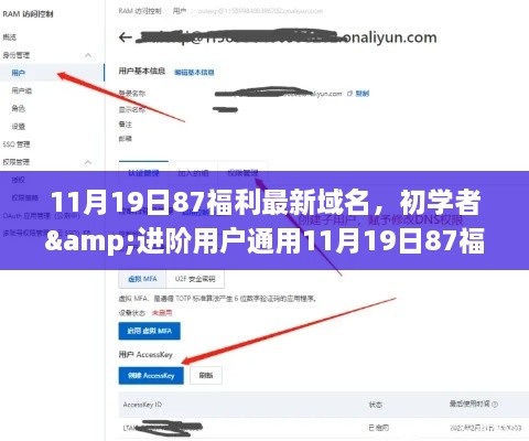 11月19日87福利最新域名攻略，初学者与进阶用户的域名获取与利用