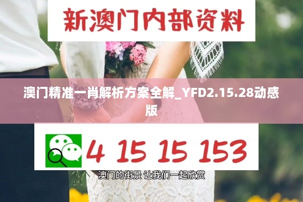 澳门精准一肖解析方案全解_YFD2.15.28动感版