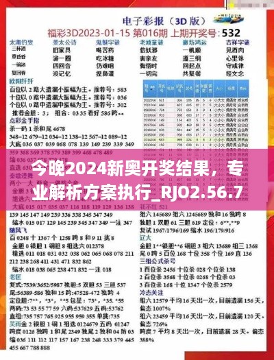 今晚2024新奥开奖结果，专业解析方案执行_RJO2.56.78梦想版