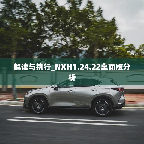 解读与执行_NXH1.24.22桌面版分析