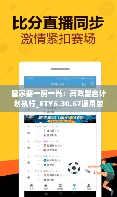 管家婆一码一肖：高效整合计划执行_FTY6.30.67通用版