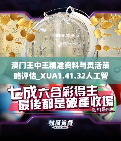 澳门王中王精准资料与灵活策略评估_XUA1.41.32人工智能版