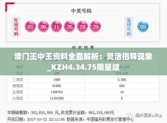 澳门王中王资料全面解析：灵活指导现象_KZH4.34.75限量版