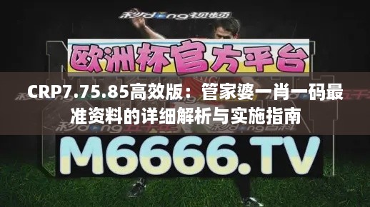 CRP7.75.85高效版：管家婆一肖一码最准资料的详细解析与实施指南