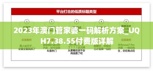 2023年澳门管家婆一码解析方案_UQH7.38.55付费版详解