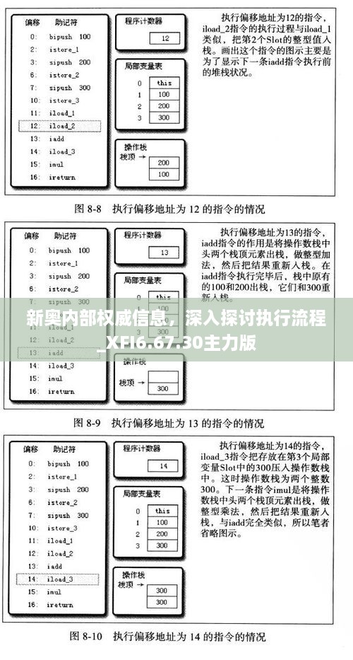 新奥内部权威信息，深入探讨执行流程_XFI6.67.30主力版