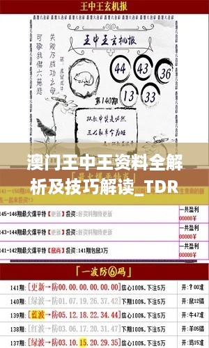 澳门王中王资料全解析及技巧解读_TDR9.15.48高效版