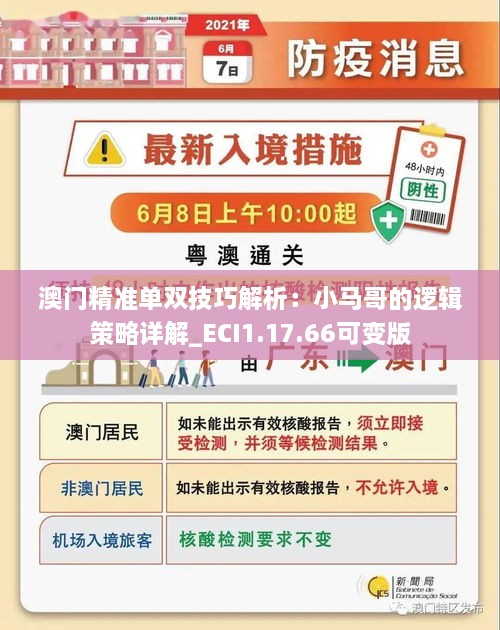 澳门精准单双技巧解析：小马哥的逻辑策略详解_ECI1.17.66可变版