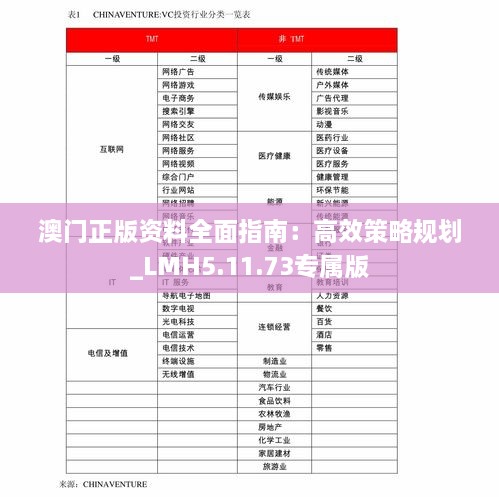 澳门正版资料全面指南：高效策略规划_LMH5.11.73专属版