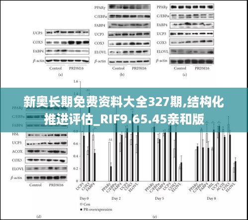 新奥长期免费资料大全327期,结构化推进评估_RIF9.65.45亲和版