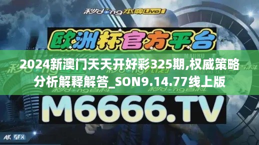 2024新澳门天天开好彩325期,权威策略分析解释解答_SON9.14.77线上版