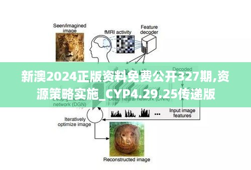 新澳2024正版资料免费公开327期,资源策略实施_CYP4.29.25传递版