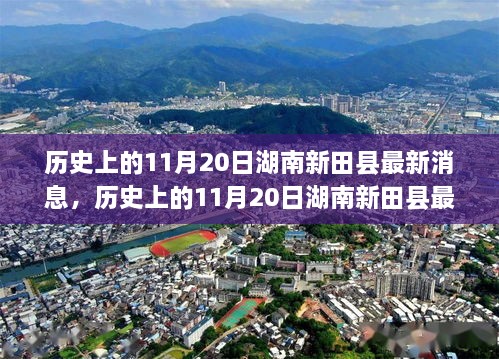 湖南新田县历史最新消息解读，产品特性、用户体验与目标用户分析