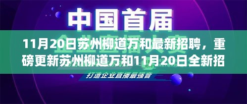 苏州柳道万和全新招聘启幕，职场未来从这里起航！