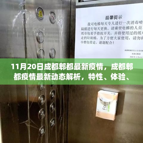 成都郫都疫情最新动态解析，特性、体验、竞品对比与用户群体分析报告（11月20日）