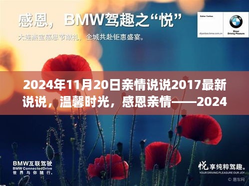 温馨时光感恩亲情，回顾与感悟——2024年11月20日的亲情说说与回顾