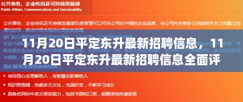 11月20日平定东升最新招聘信息全解析与介绍