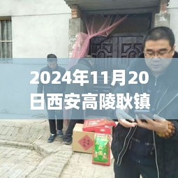 2024年11月20日西安高陵耿镇最新发展动态概览