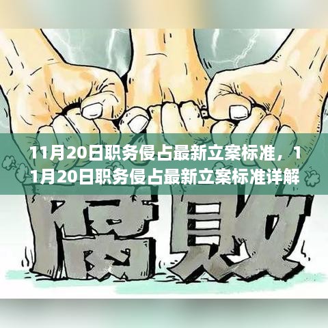 11月20日职务侵占最新立案标准详解，如何应对新标准？