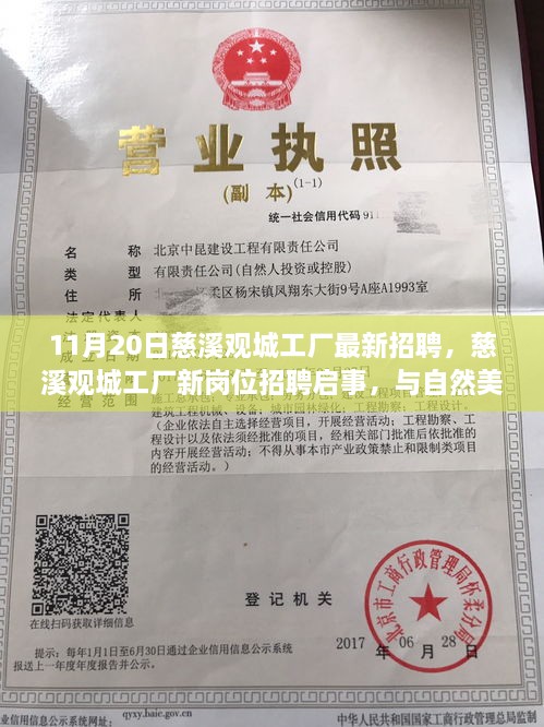 慈溪观城工厂新岗位招聘启事，与自然美景相伴的工作之旅，寻找内心的宁静与平和