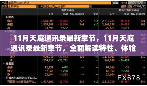 11月天庭通讯录，最新章节揭秘特性、体验、竞争态势与用户群体分析