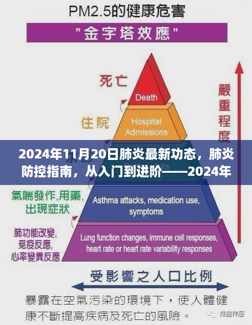 肺炎防控指南进阶版，从入门到精通——最新动态与指南（2024年11月）