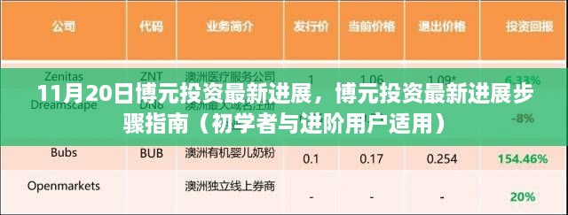 博元投资最新进展详解，步骤指南适用于初学者与进阶用户（11月20日更新）