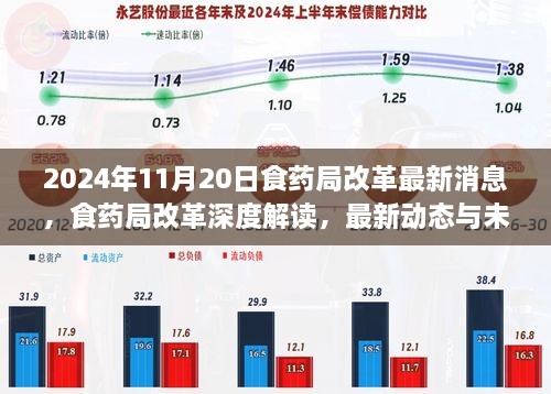 2024年食药局改革最新动态，深度解读与未来展望