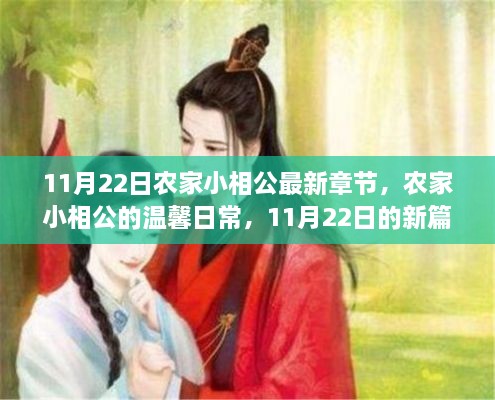 农家小相公的温馨日常，新篇章揭晓，11月22日最新更新章节