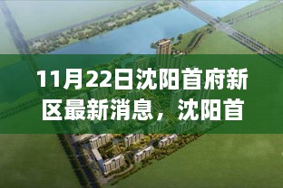 11月22日沈阳首府新区最新消息，沈阳首府新区，一个温馨日常的奇遇与情感纽带