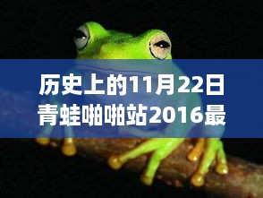 揭秘，历史上的11月22日与青蛙啪啪站背后的故事与影响分析