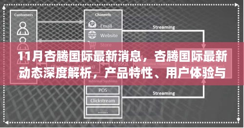 杏腾国际最新动态深度解析，产品特性、用户体验与目标用户群体分析报告发布