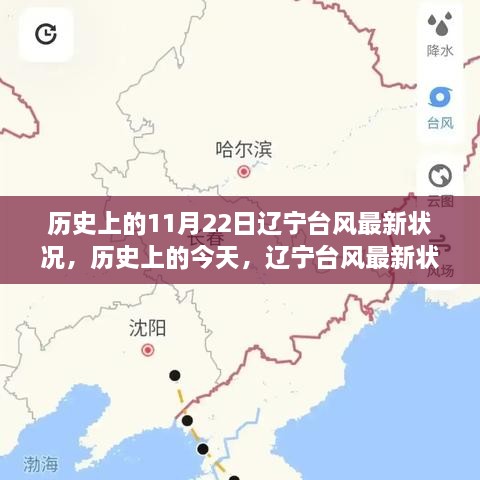 历史上的今天，辽宁台风最新状况回顾与11月22日的回顾报告