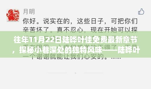 探秘小巷深处的独特风味，陆晔叶佳故事馆新篇章揭秘（往年11月22日更新）