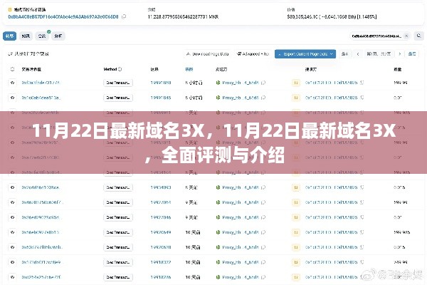 11月22日最新域名3X，11月22日最新域名3X，全面评测与介绍