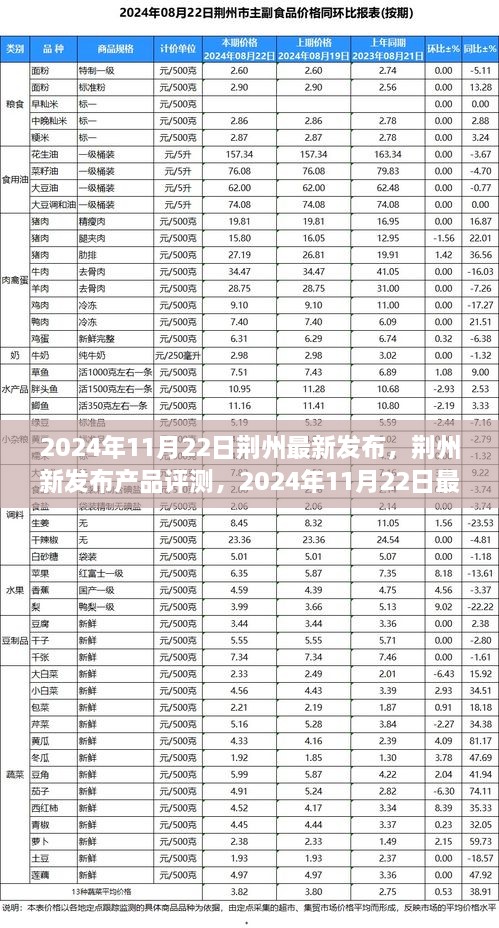 2024年11月22日荆州最新发布，荆州新发布产品评测，2024年11月22日最新科技产品深度解析