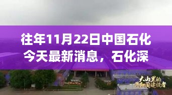 中国石化最新消息揭秘，石化深处的隐藏宝藏与小巷特色小店探秘