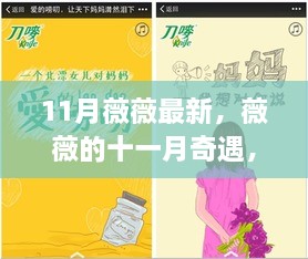 薇薇十一月奇遇，友情、日常与爱的温馨交织时刻