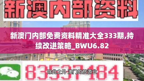 新澳门内部免费资料精准大全333期,持续改进策略_BWU6.82