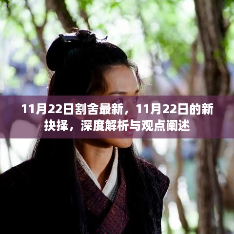 11月22日的新抉择，深度解析与观点阐述