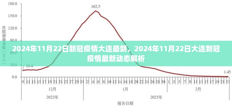 2024年11月22日大连新冠疫情最新动态解析与报告