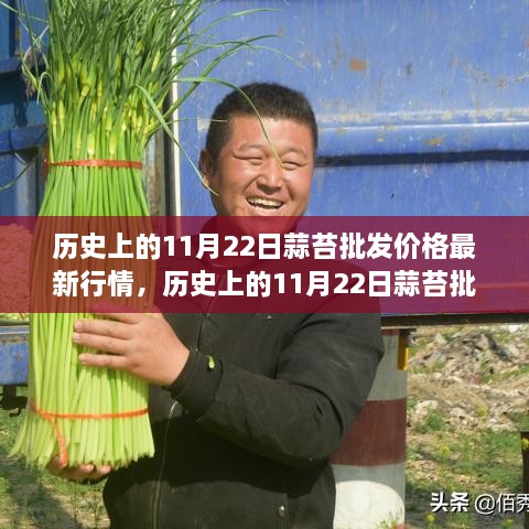 历史上的11月22日蒜苔批发价格行情深度解析与评测报告